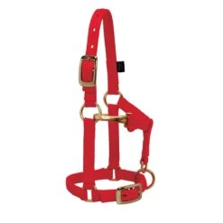 Weaver Leather Weaver Miniature Horse Nylon Halter - Average Size 10 Weaver Leather Weaver Miniature Horse Nylon Halter - Average Size -Lemieux Shop 3760 c1158
