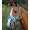 Shires Fleece Lined Lunging Caveson -Lemieux Shop 428s c1130