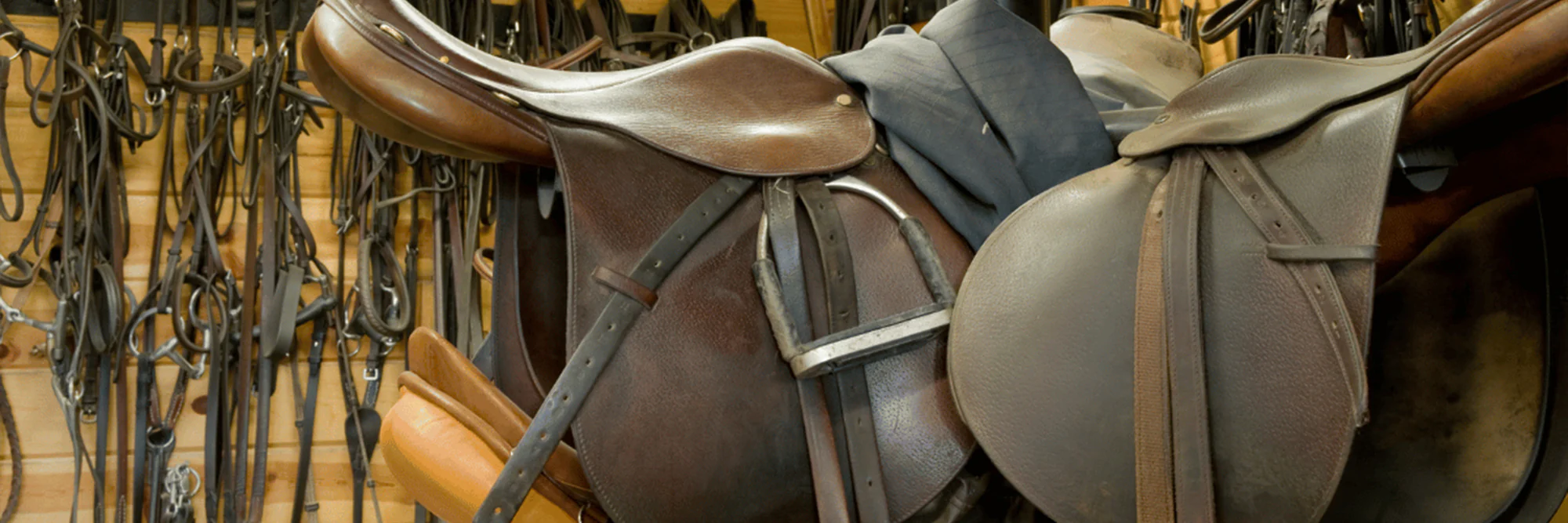 Lemieux Shop -Lemieux Shop 466862