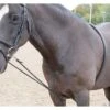 Shires Soft Lunge Aid -Lemieux Shop 470s 1