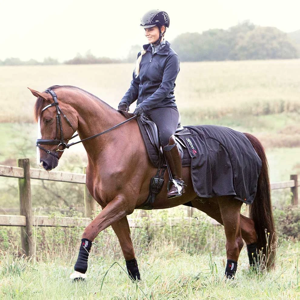 Catago FIR-Tech Therapy Quarter Sheet 5 Catago FIR-Tech Therapy Quarter Sheet - Image 3