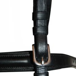 Ovation Dressage Bridle With Comfort Crown -Lemieux Shop 475068 2