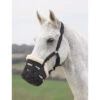 Shires Deluxe Comfort Grazing Muzzle -Lemieux Shop 495NFS
