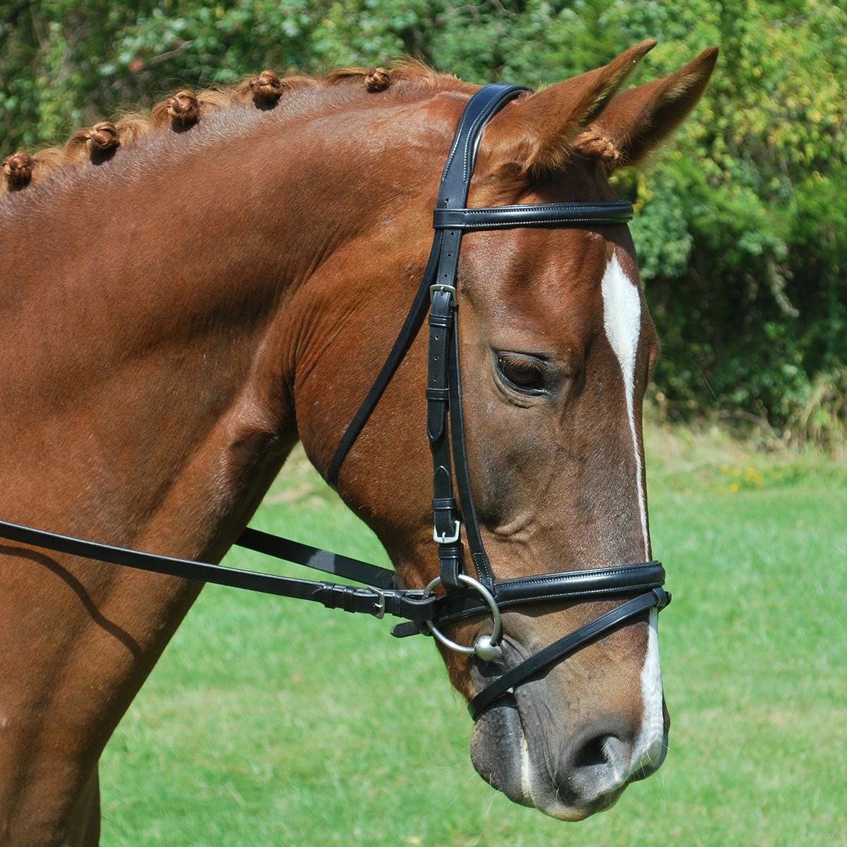KL Select Red Barn Levade Padded Dressage Bridle 3 KL Select Red Barn Levade Padded Dressage Bridle