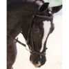 KL Select Drop Noseband -Lemieux Shop 5222kl c1105