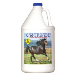 Cox Vet Labs Gastroade - Gallon