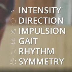 Equestic SaddleClip Equine Motion Sensor Saddle Clip -Lemieux Shop 5845eq 6