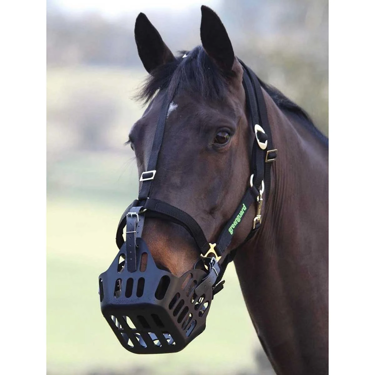 GreenGuard Grazing Muzzle 3 GreenGuard Grazing Muzzle