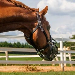 GreenGuard Breakaway Halter 11 GreenGuard Breakaway Halter -Lemieux Shop 61374 c1105 alt1