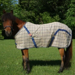 5/A Baker Sheet Miniature Horse Original Plaid