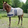 5/A Baker Foal Expand O Blanket