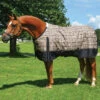 5/A Baker Black Label 400 Gm Turnout Blanket 2 5/A Baker Black Label 400 Gm Turnout Blanket -Lemieux Shop 7064j c1316