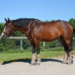 5/A Baker Transport Boots Set Of 4 -Lemieux Shop 7073j c1316 alt1