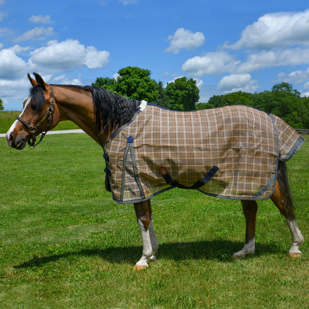 5/A Baker PVC Fly Sheet With Detachable Neck Cover 4 5/A Baker PVC Fly Sheet With Detachable Neck Cover - Image 2