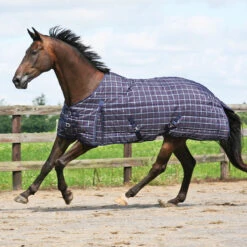 Country Pride Highland 1200D Lightweight Stable Blanket -Lemieux Shop 7303 c1311 fa8e80c0 4711 4a33 8688 d00df9665ac0