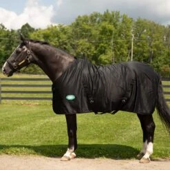 Country Pride Solid Color Cotton Poly Summer Stable Sheet -Lemieux Shop 7306t c1105 fabe5654 96bd 44a7 847d b138016cfdfa