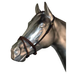 Quiet Creek Caveson With A Flash Attachment