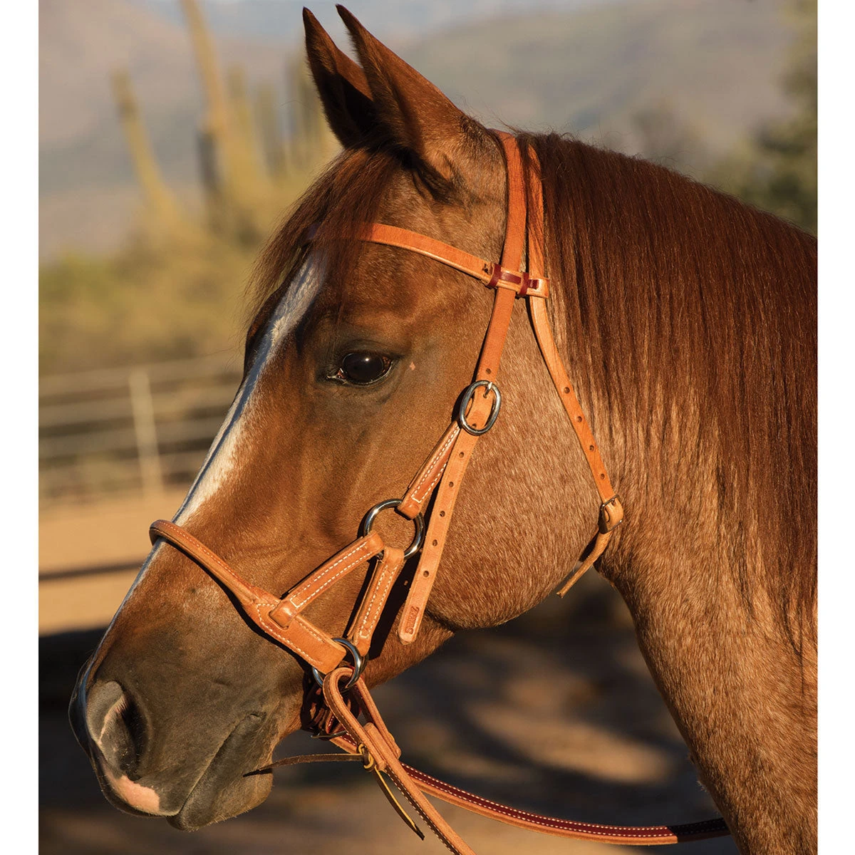 Professionals Choice Round Leather Nose Side Pull 4 Professionals Choice Round Leather Nose Side Pull - Image 2