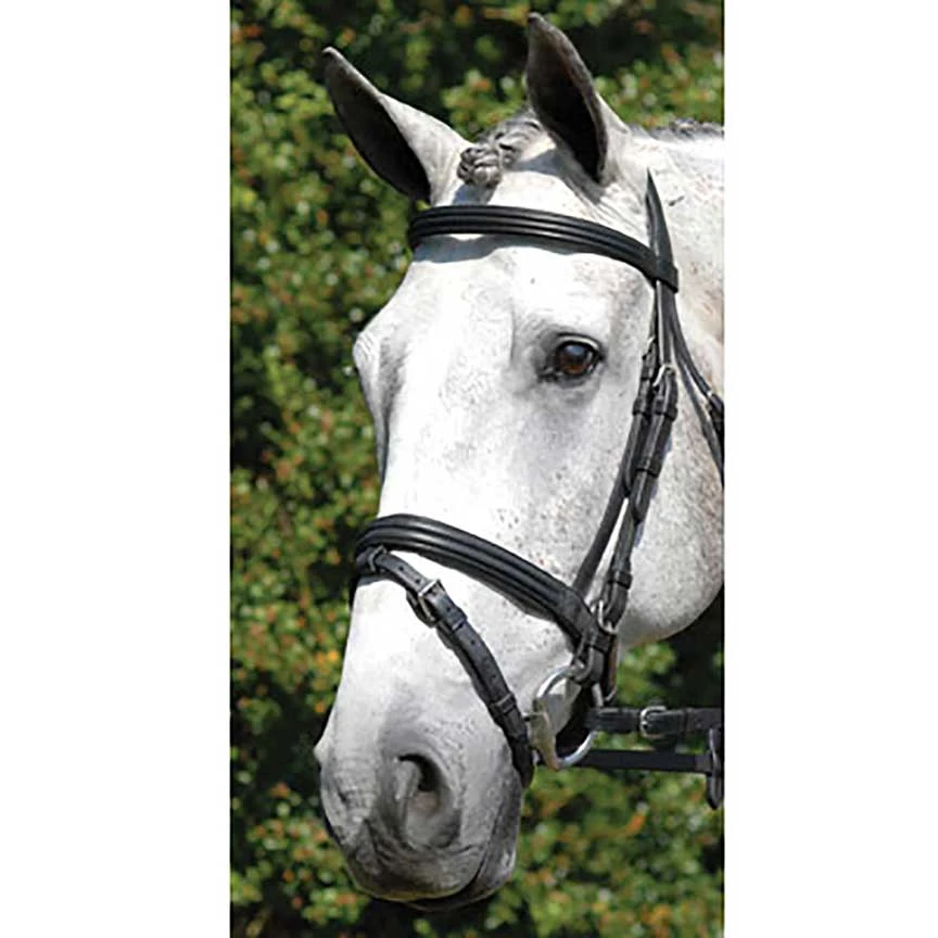 Vespucci Double Raised Dressage Snaffle Bridle 3 Vespucci Double Raised Dressage Snaffle Bridle