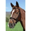 Vespucci Plain Raised English Bridle Brown