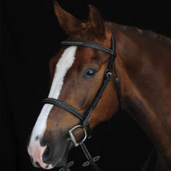 Collegiate Comfort Crown Fancy Stitched Raised Cavesson Bridle