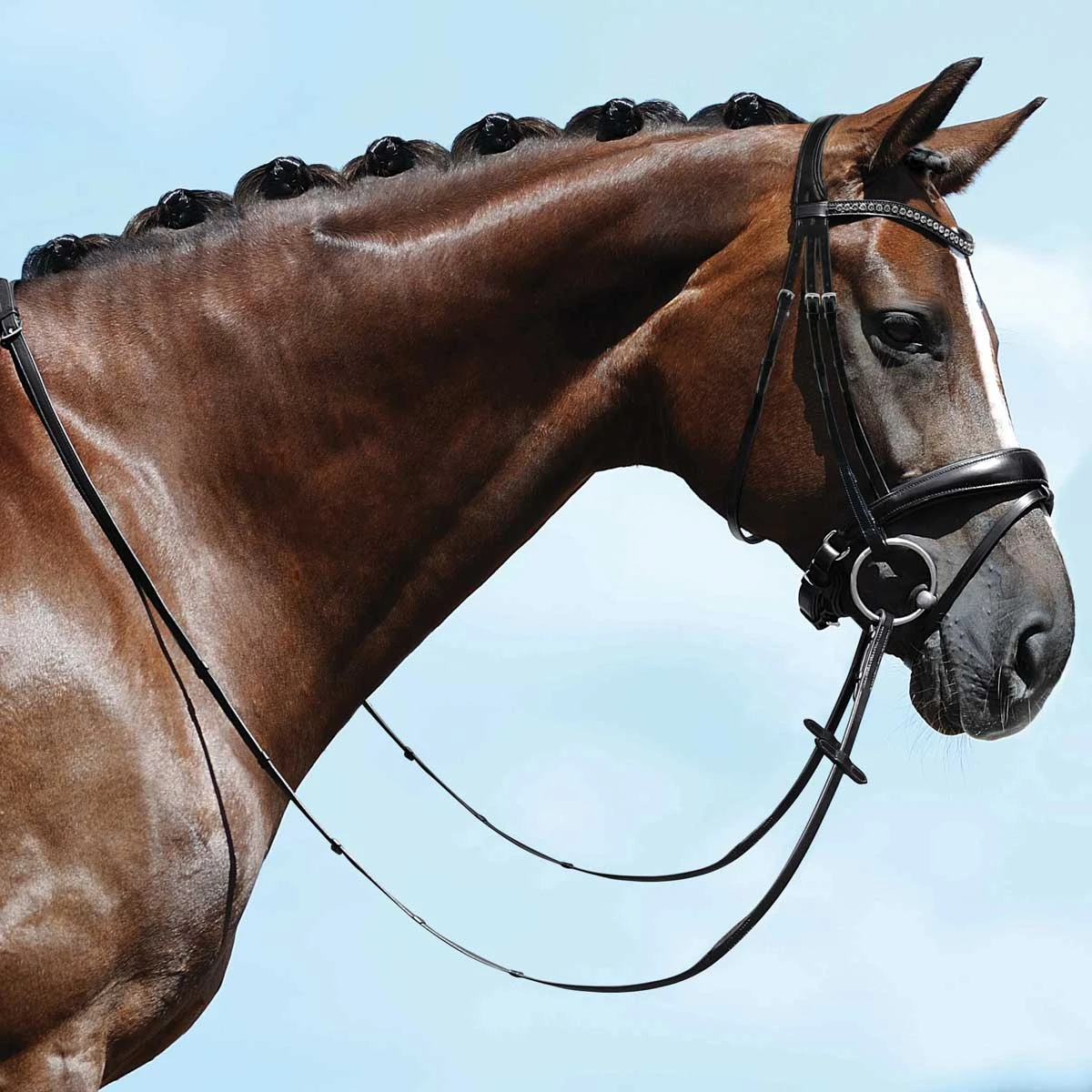 Passier Fortuna Dressage Bridle Horse Size 4 Passier Fortuna Dressage Bridle Horse Size - Image 2