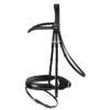 Passier Fortuna Dressage Bridle Horse Size -Lemieux Shop 850020 c1105 alt1