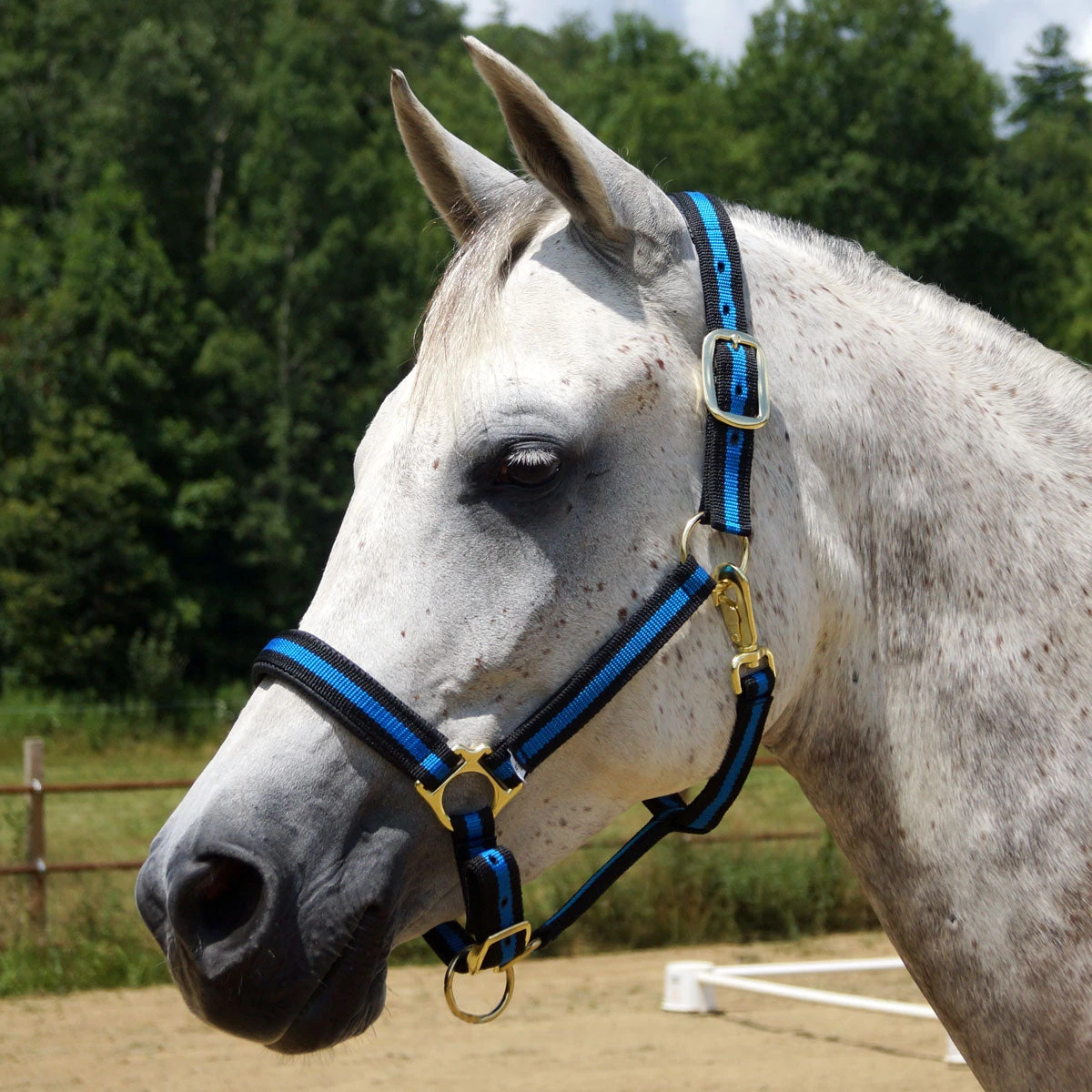 Country Pride Padded Two Tone Nylon Halter 5 Country Pride Padded Two Tone Nylon Halter - Image 3