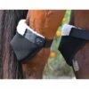 Click Horse Hock Shield -Lemieux Shop 95061 1