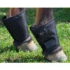 Click Horse Fetlock Shield Pair One Size