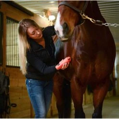 Wahl KM Cordless 2 Speed Clipper Kit -Lemieux Shop 9596 100 c1156 alt3