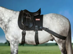 Equicore Complete Equiband Pro System -Lemieux Shop EnglishCloseUp 1