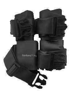 Equicore Complete Equiband Pro System -Lemieux Shop EquibandProSet 1300