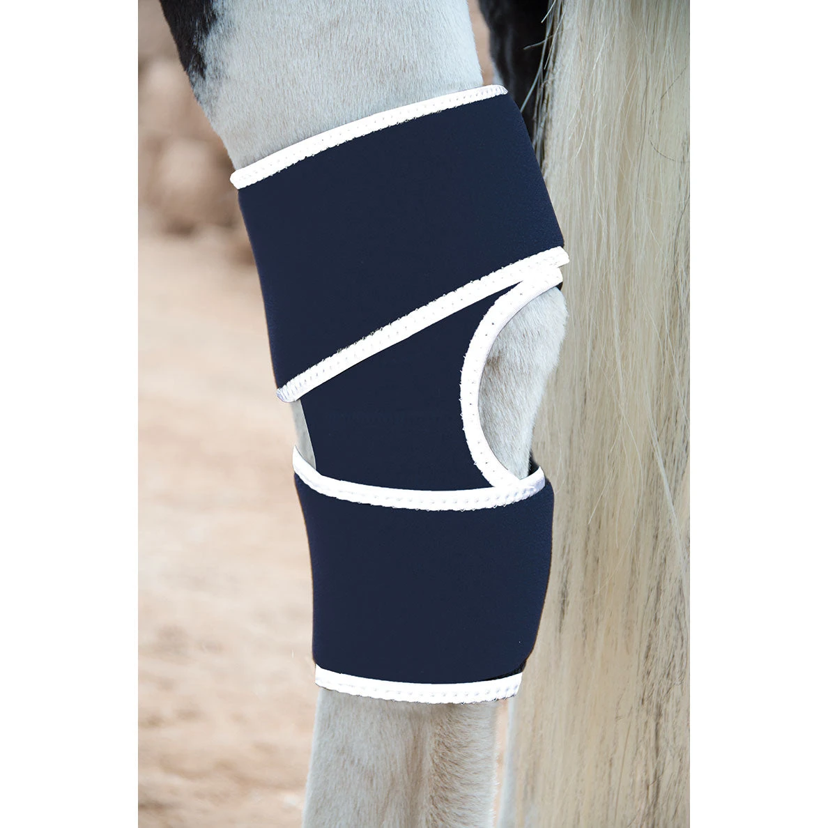 Professionals Choice Therapeutic Magnetic Hock Boot 4 Professionals Choice Therapeutic Magnetic Hock Boot - Image 2