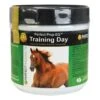 Perfect Prep EQ Training Day Powder 2 Lb