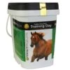 Perfect Prep EQ Training Day Powder 5 Lb 1 Perfect Prep EQ Training Day Powder 5 Lb -Lemieux Shop PPTD5