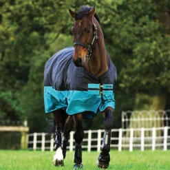 Horseware Ireland Horseware Amigo Mio Turn Out Lite -Lemieux Shop aasa41 c1105 alt1