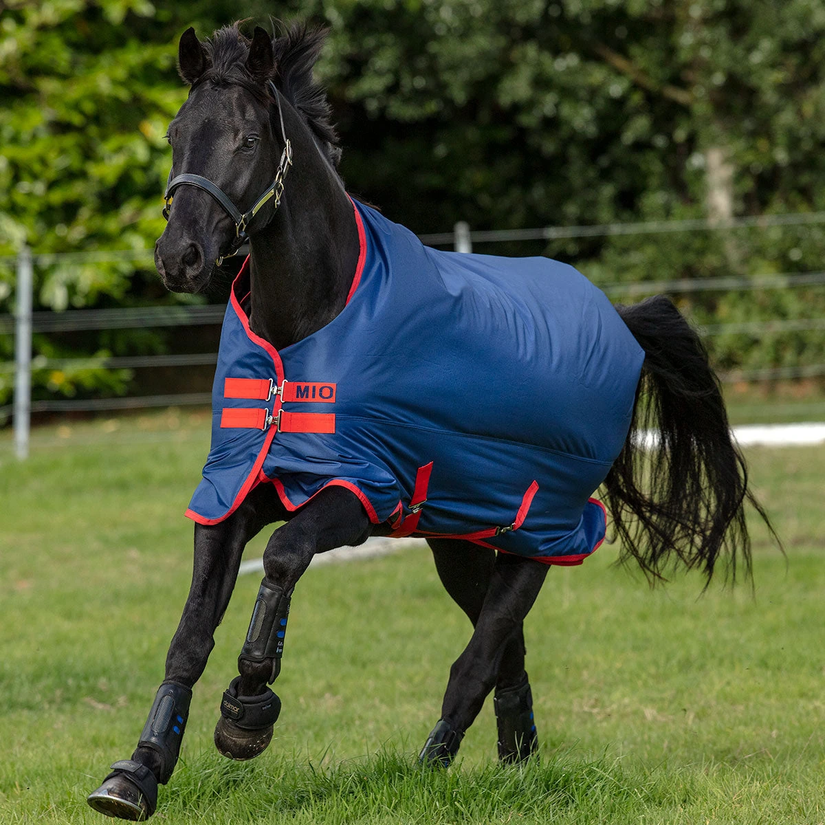 Horseware Ireland Horseware Amigo Mio 200g Medium Turnout 3 Horseware Ireland Horseware Amigo Mio 200g Medium Turnout