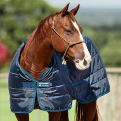 Horseware Ireland Horseware Blanket Liner 200g -Lemieux Shop abad62 c1146 alt2