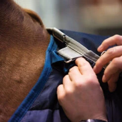 Horseware Ireland Horseware Blanket Liner 200g -Lemieux Shop abad62 c1146 alt4