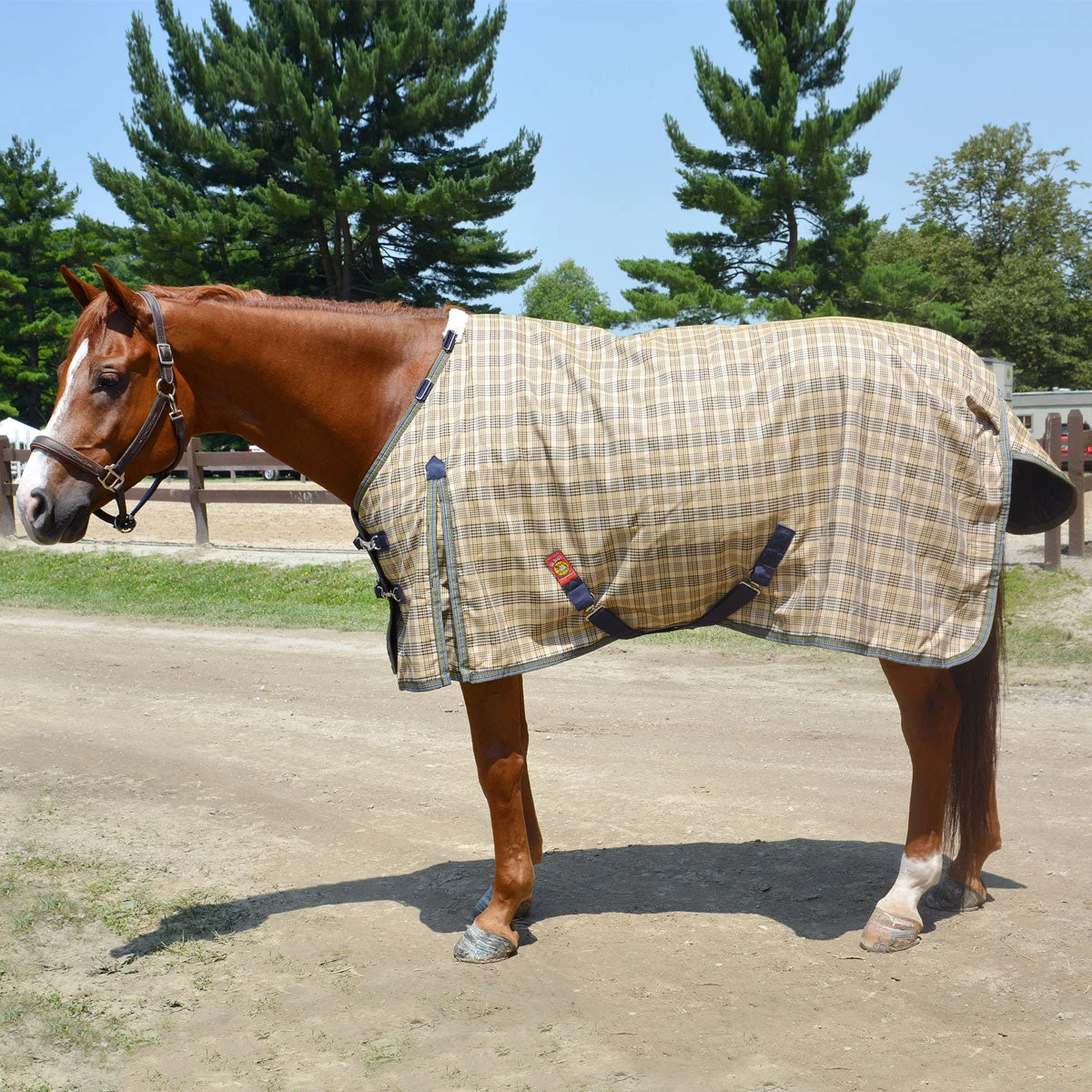 5/A Baker Turnout Blanket Medium Weight 200gm 3 5/A Baker Turnout Blanket Medium Weight 200gm