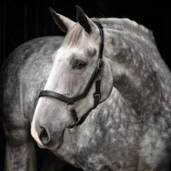 Rambo Micklem Halter