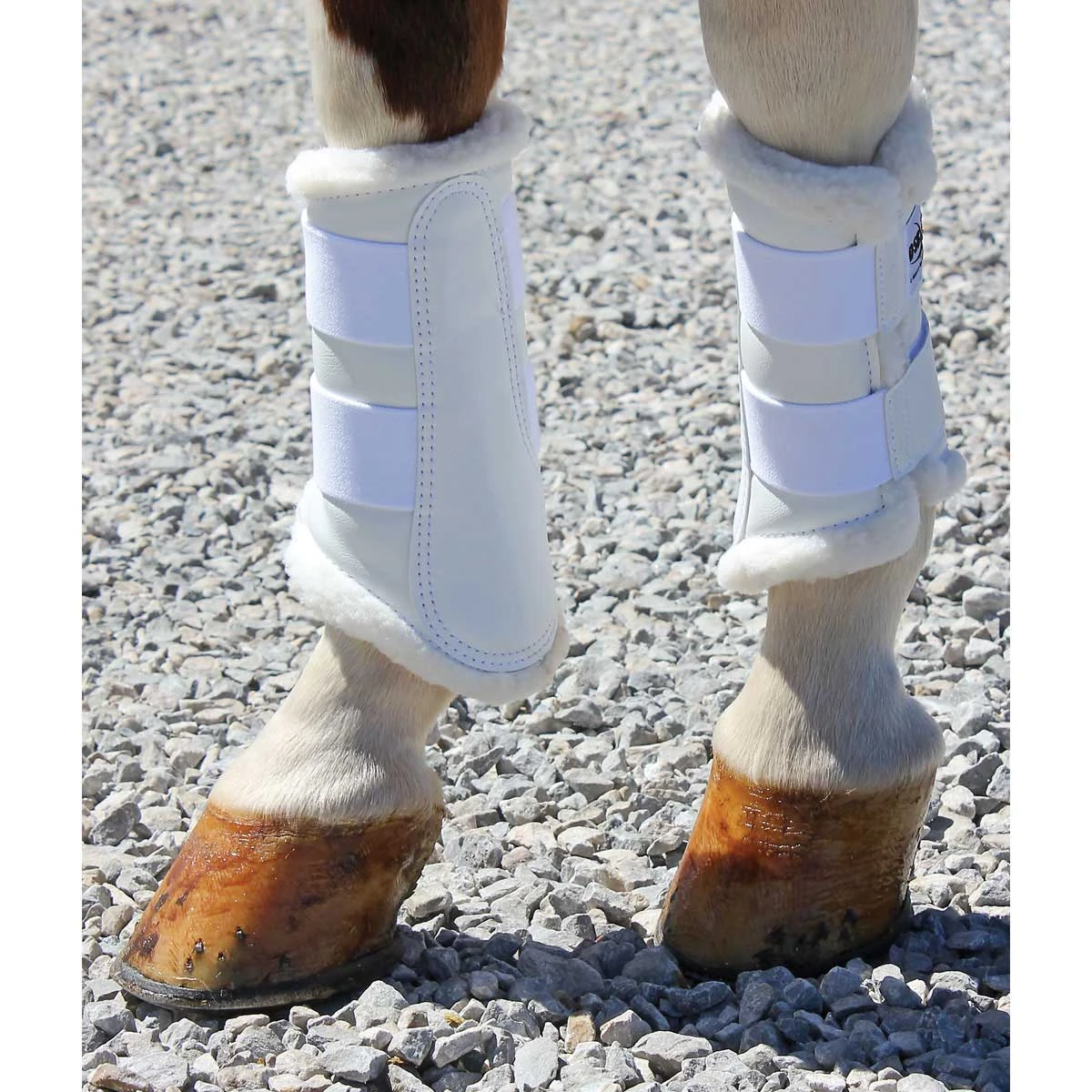 DSB Dressage Sport Boot 4 DSB Dressage Sport Boot - Image 2