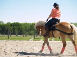 Equicore Complete Equiband Pro System -Lemieux Shop eccP1015565 1