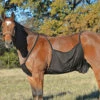 Cashel Fly Sheet Belly Guard