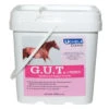 Uckele G.U.T. Powder - 10 Lb -Lemieux Shop gut10