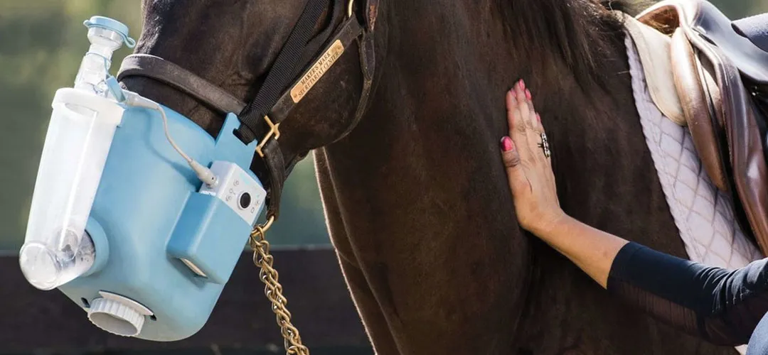 Lemieux Shop -Lemieux Shop horsecare neb