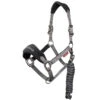 LeMieux Vogue Halter And Leadrope Set -Lemieux Shop it0082 c1105