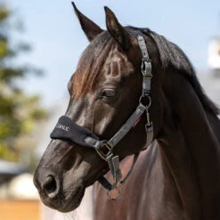LeMieux Vogue Halter And Leadrope Set -Lemieux Shop it0082 c1105 alt1
