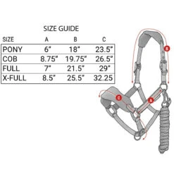 LeMieux Vogue Halter And Leadrope Set -Lemieux Shop it0082 c1105 alt2